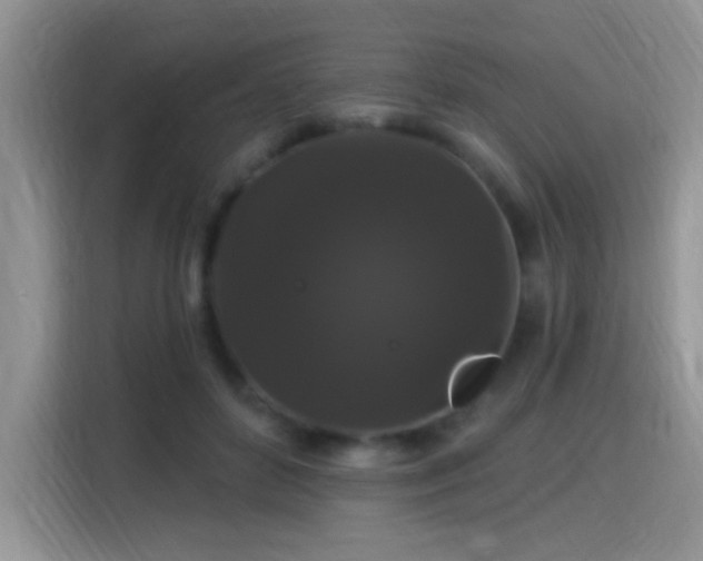 X0000115320504200911091200