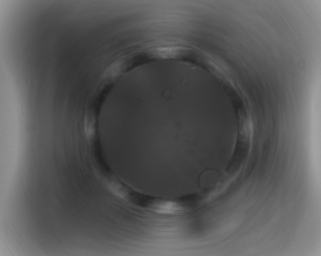 X0000115320507200911091200