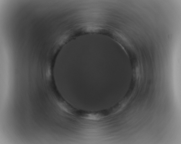 X0000115320508200911091200