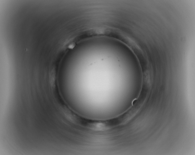 X0000115320509200911091200