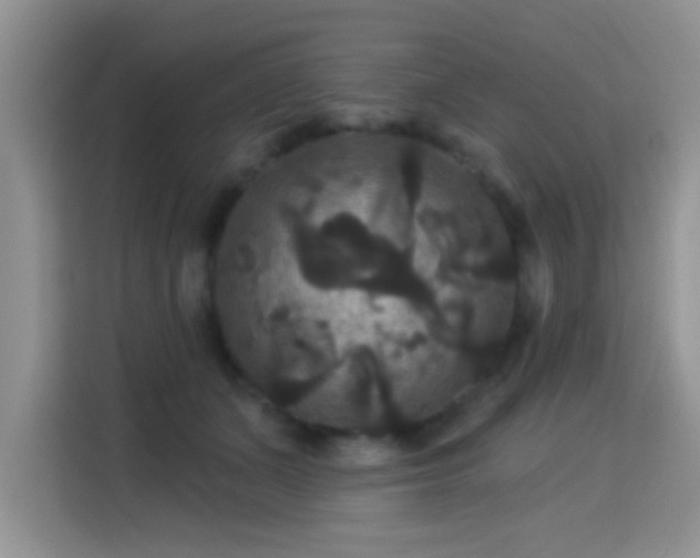 X0000115320511200911091200