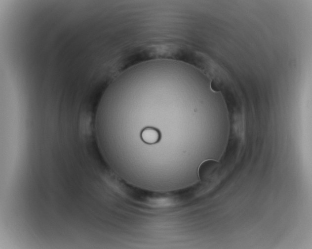 X0000115320514200911091200