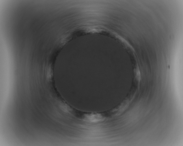 X0000115320517200911091159