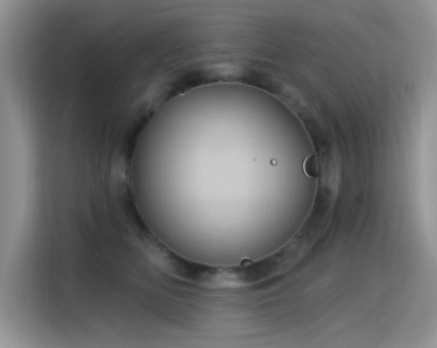 X0000115320518200911091159