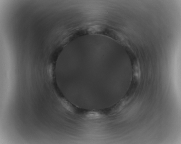 X0000115320519200911091159
