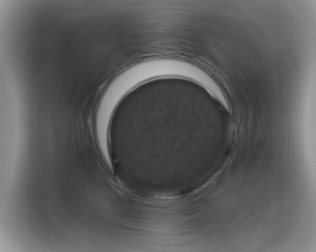 X0000115320520200911091159