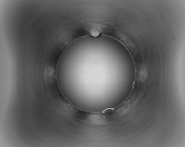 X0000115320521200911091159