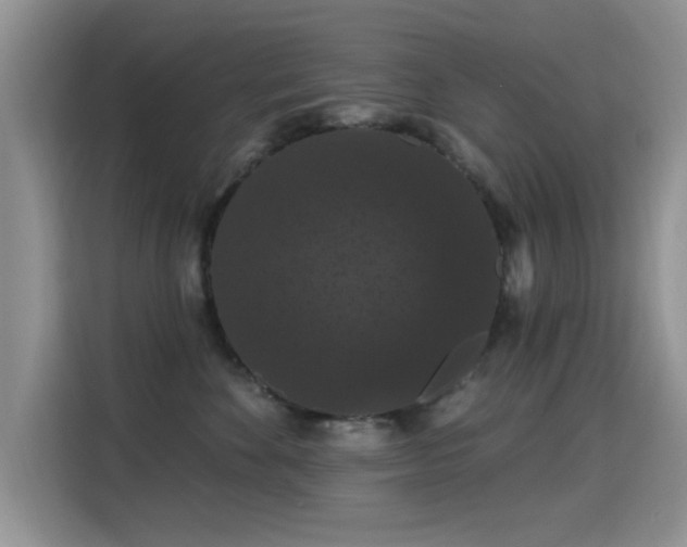 X0000115320524200911091159