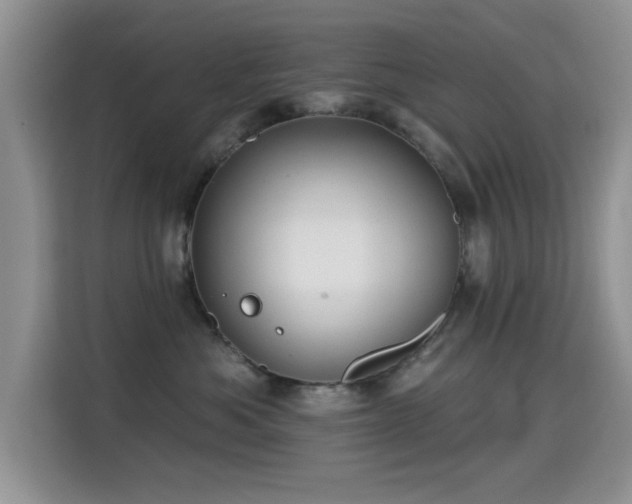 X0000115320525200911091159