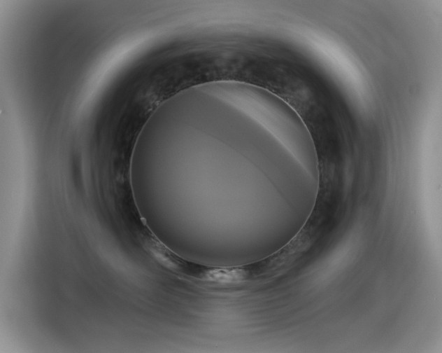 X0000115320526200911091159