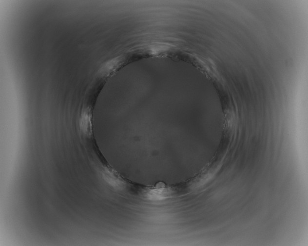 X0000115320527200911091159