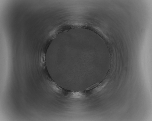 X0000115320528200911091159
