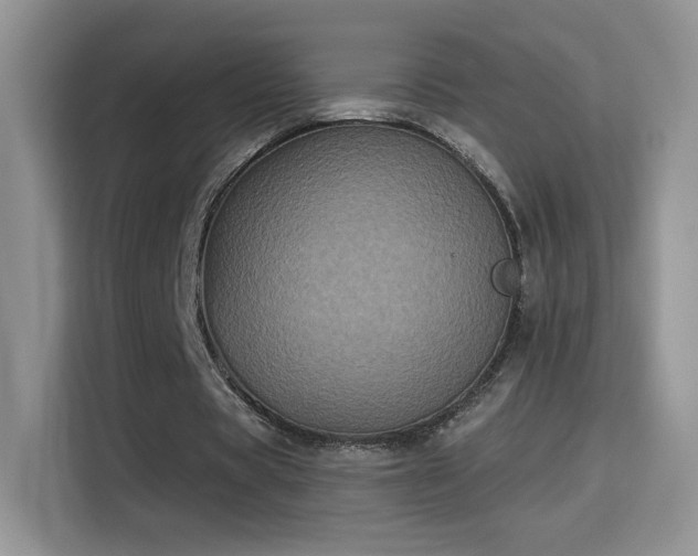 X0000115320529200911091159