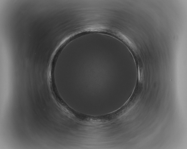 X0000115320531200911091159