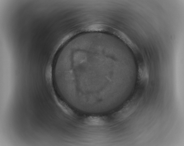 X0000115320534200911091159