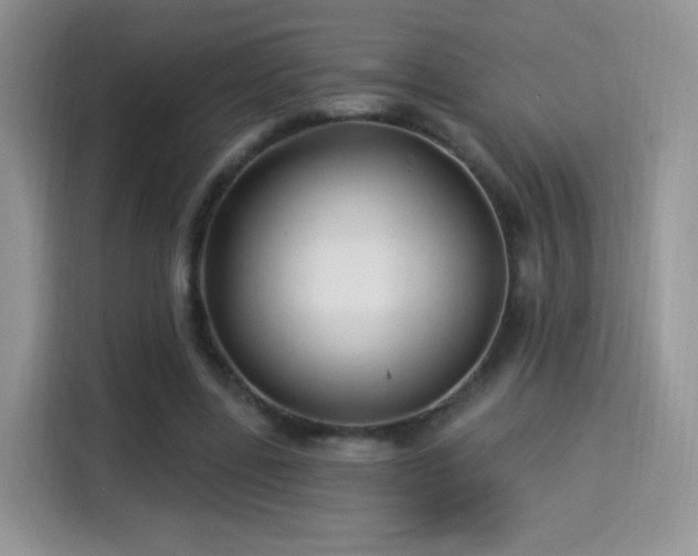 X0000115320539200911091159