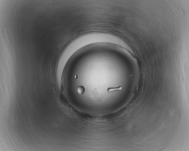 X0000115320546200911091159
