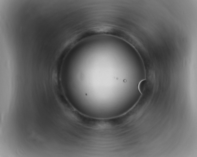 X0000115320547200911091159
