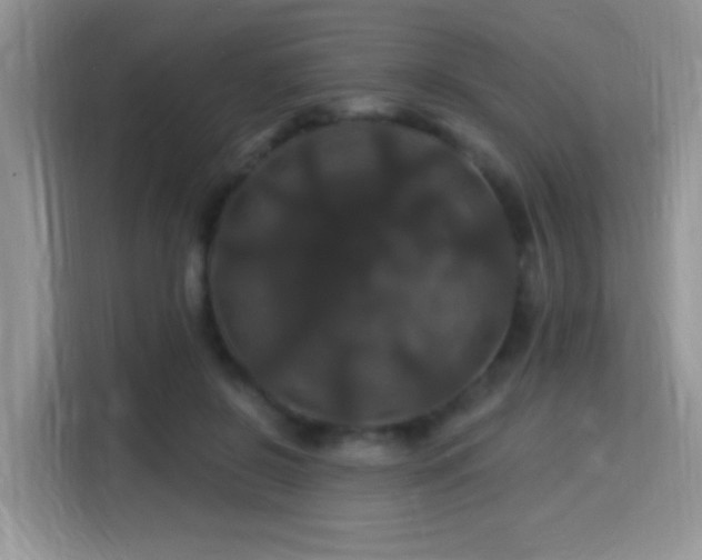 X0000115320550200911091159