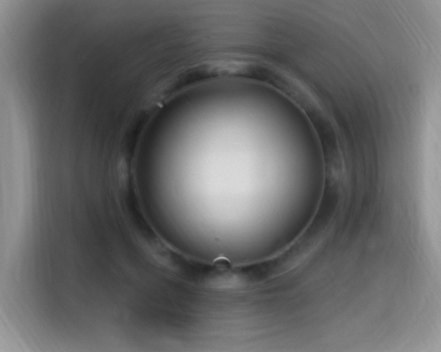 X0000115320551200911091159