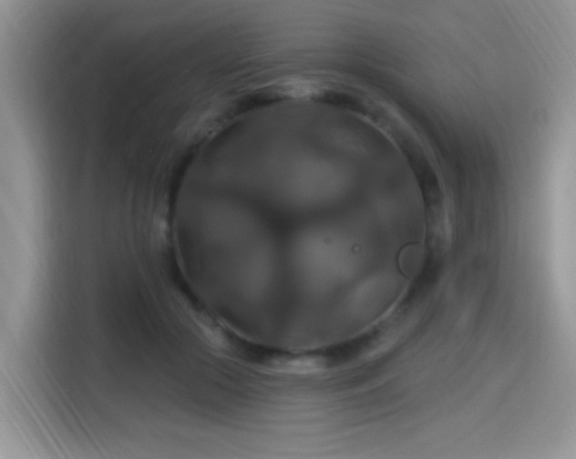 X0000115320553200911091159