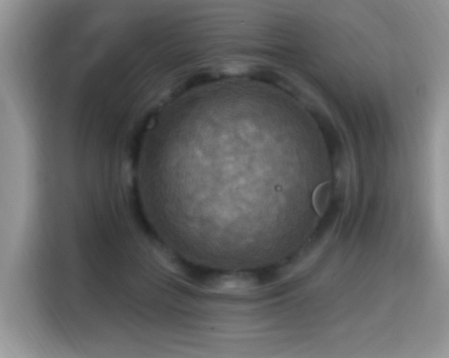 X0000115320555200911091159