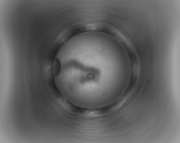 X0000115320557200911091159