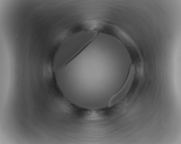 X0000115320558200911091159
