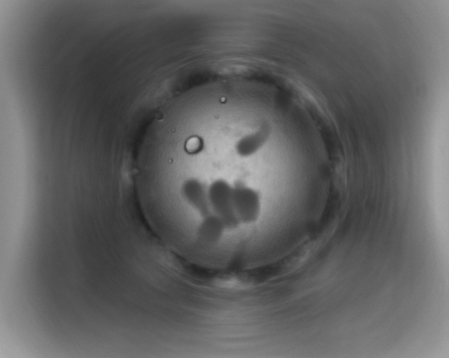 X0000115320561200911091159