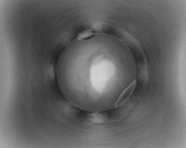 X0000115320562200911091159