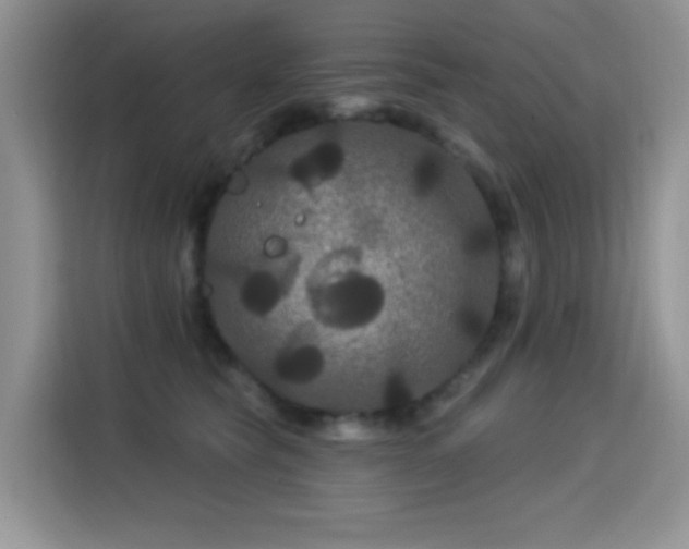 X0000115320565200911091159