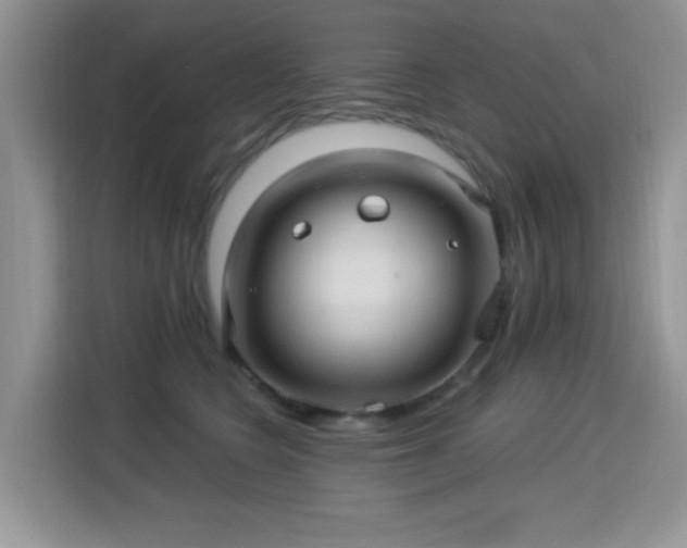 X0000115320566200911091159