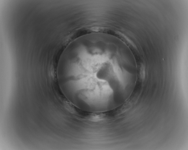 X0000115320569200911091159