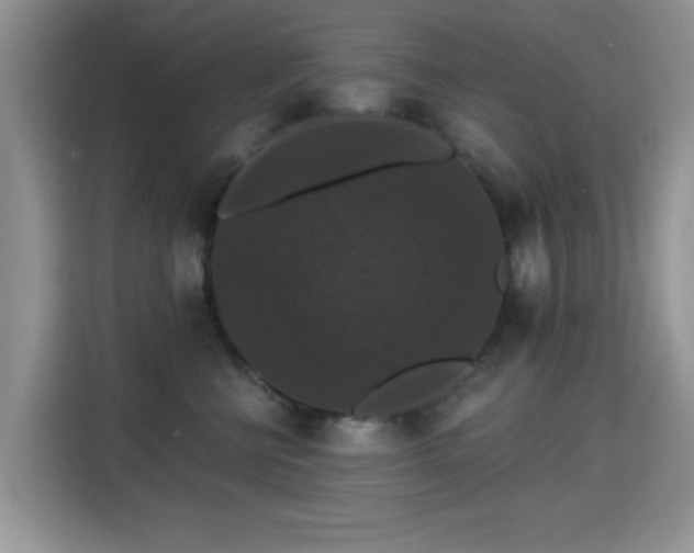 X0000115320570200911091159