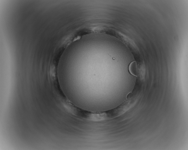 X0000115320571200911091159