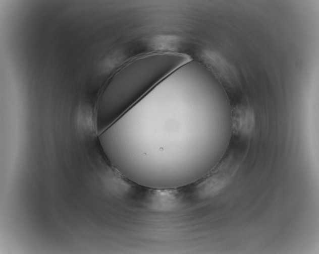 X0000115320573200911091159