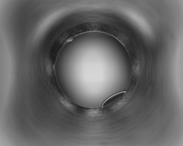 X0000115320574200911091159
