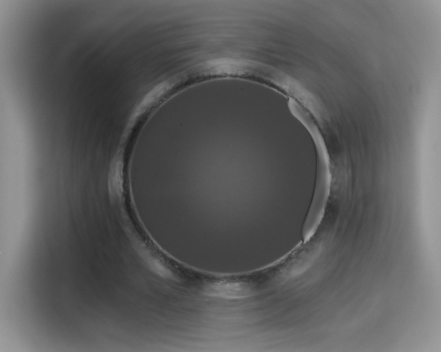 X0000115320581200911091158