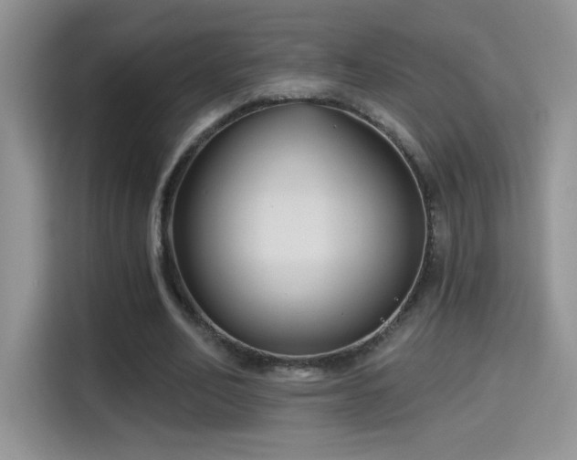 X0000115320582200911091158