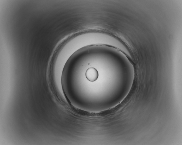 X0000115320583200911091158