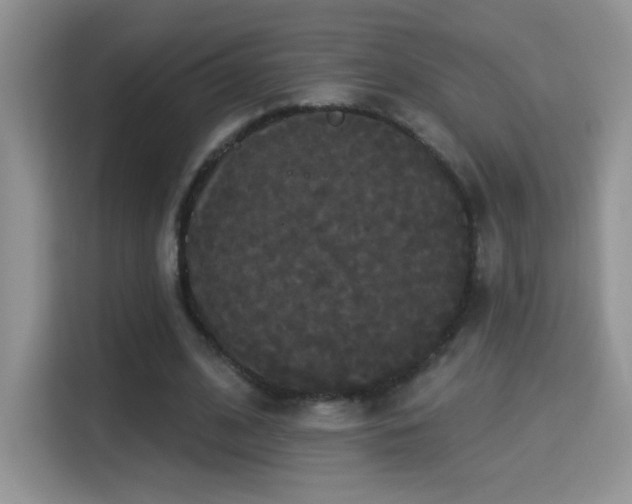 X0000115320584200911091158