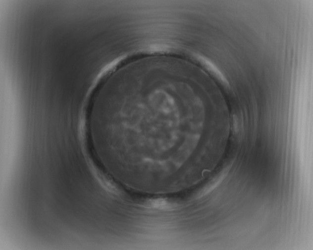 X0000115320588200911091158