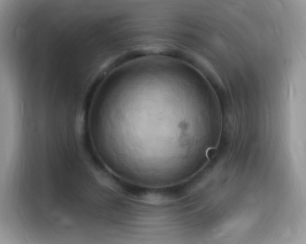 X0000115320596200911091158
