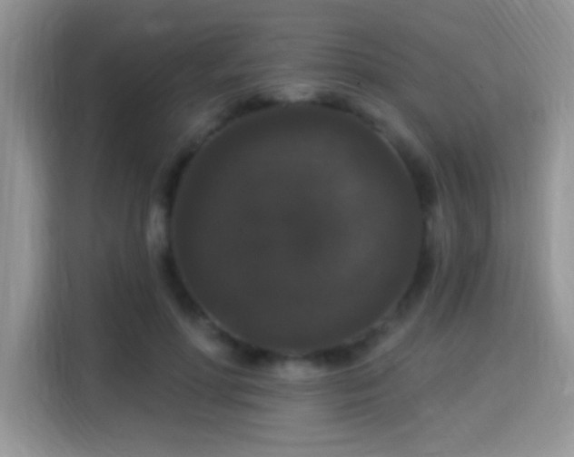 X0000115320598200911091158