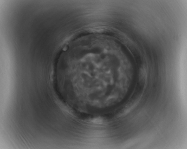 X0000115320600200911091158
