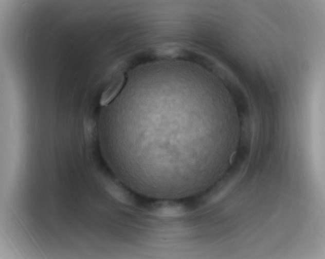 X0000115320601200911091158