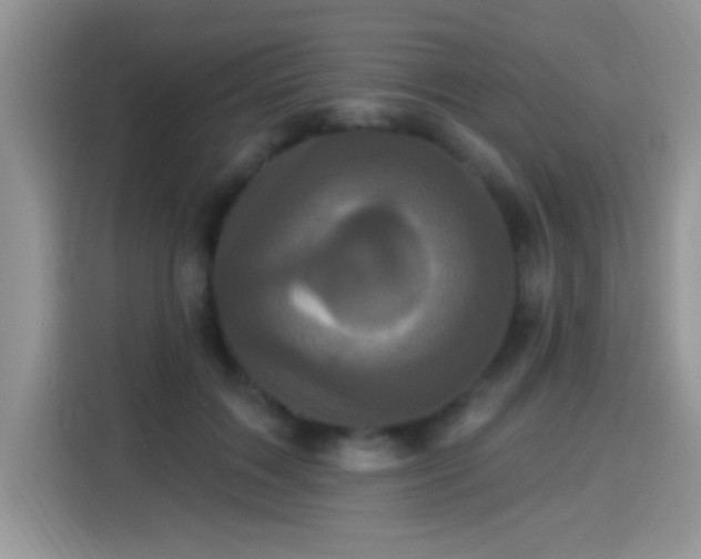 X0000115320603200911091158