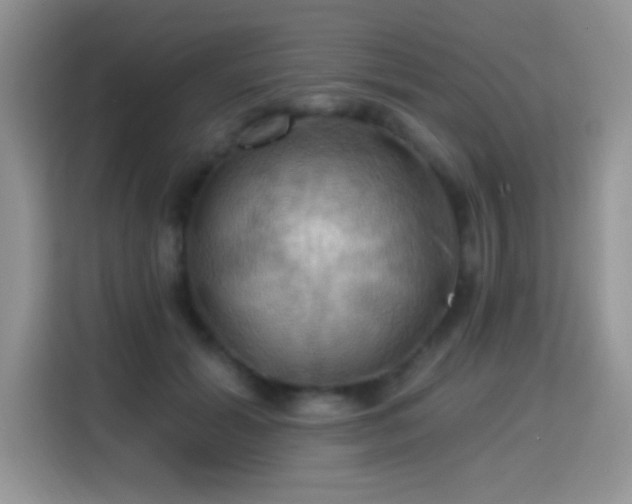 X0000115320605200911091158