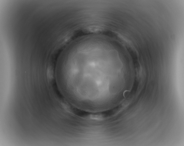 X0000115320606200911091158