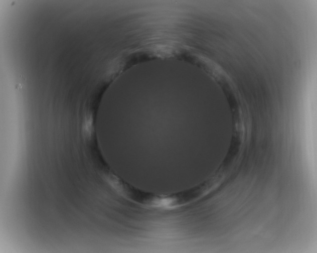 X0000115320610200911091158